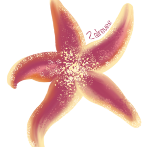 estrella