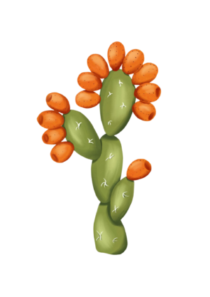 cactussinfondo