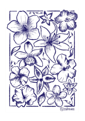 flores sin fondo